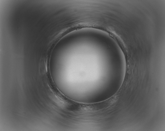 X0000073460062200607281258