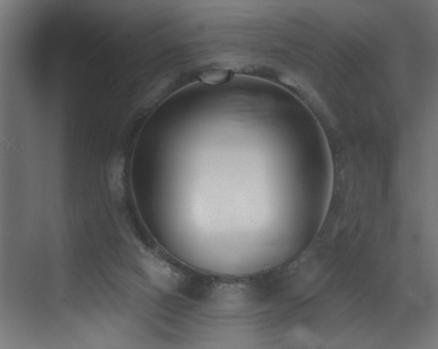 X0000073460066200607281258