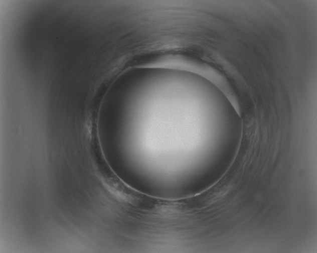 X0000073460072200607281258