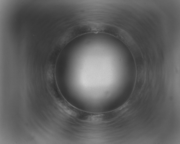 X0000073460078200607281258