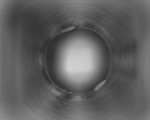 X0000073460083200607281258