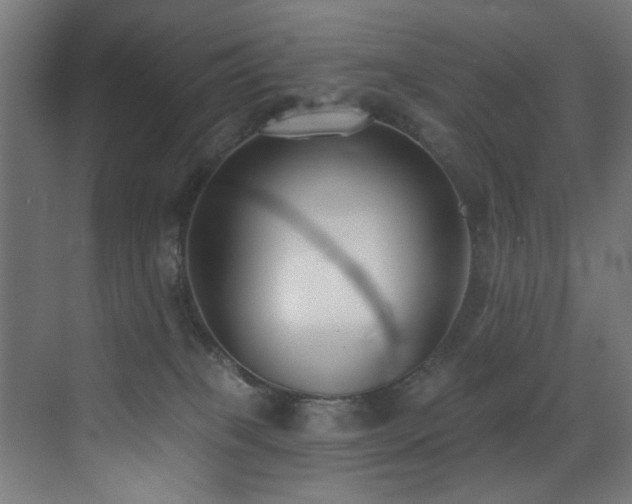 X0000073460085200607281258
