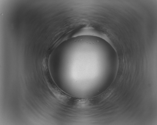 X0000073460088200607281258