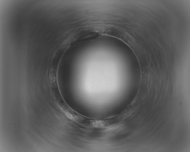 X0000073460091200607281258
