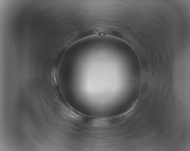 X0000073460094200607281258