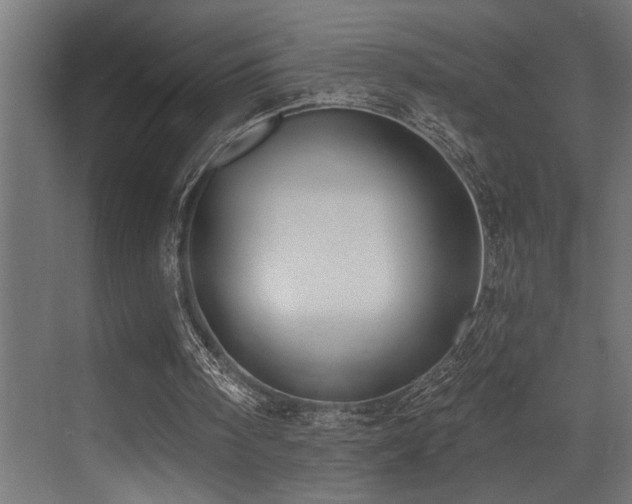 X0000073460098200607281257