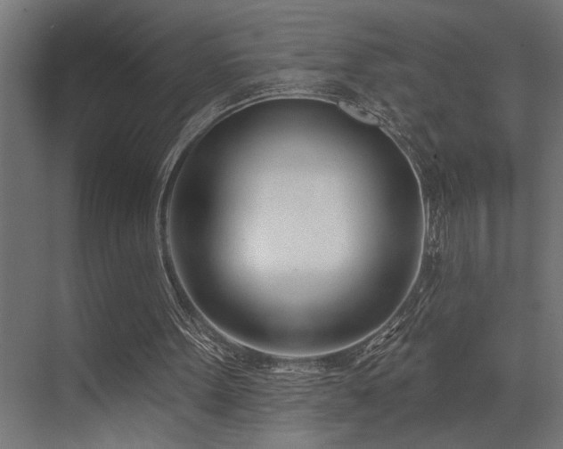 X0000073460099200607281257