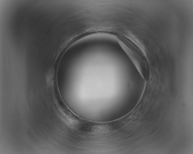 X0000073460107200607281257