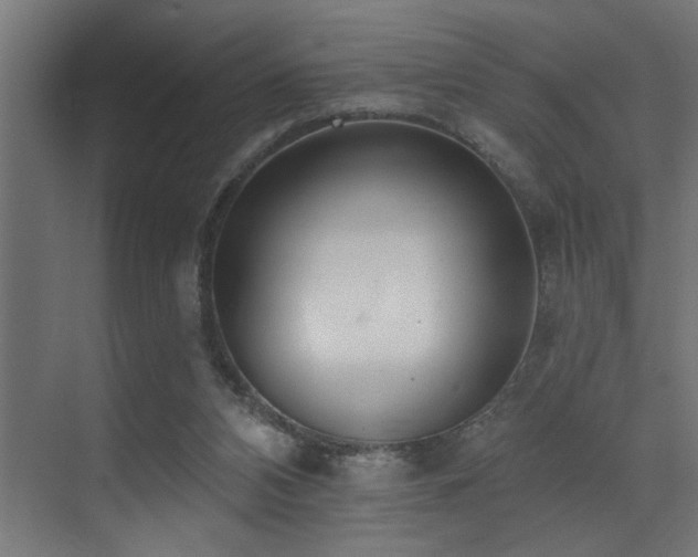 X0000073460112200607281257
