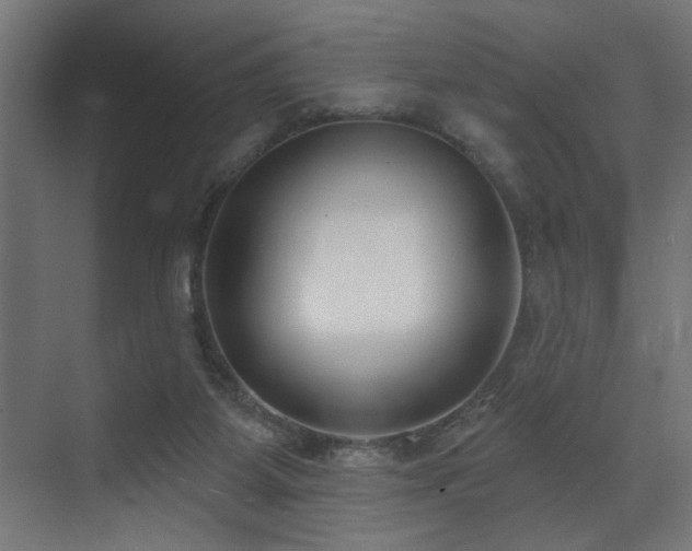 X0000073460115200607281257