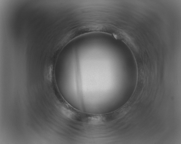 X0000073460118200607281257