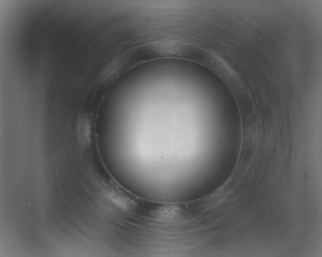 X0000073460124200607281257