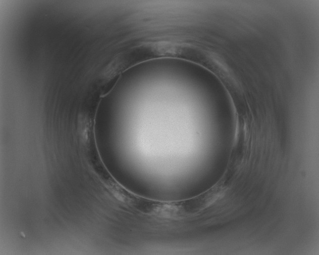X0000073460125200607281257