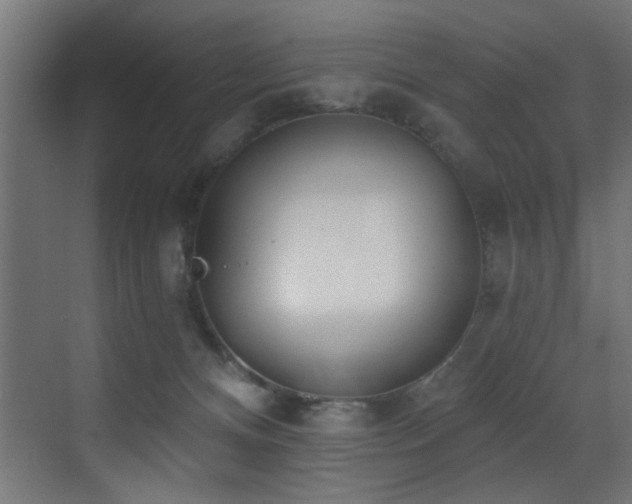 X0000073460128200607281257