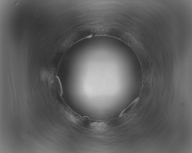 X0000073460133200607281257