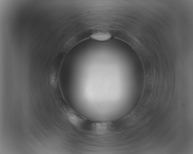 X0000073460134200607281257