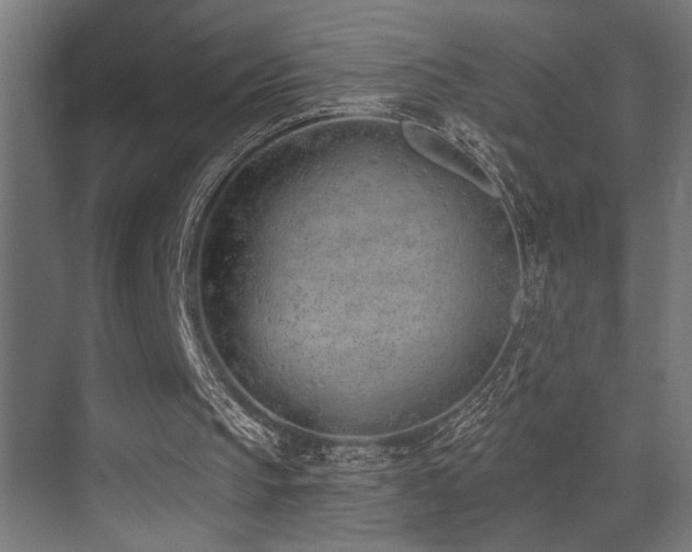 X0000073460145200607281256