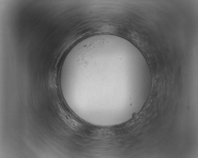 X0000073460146200607281256