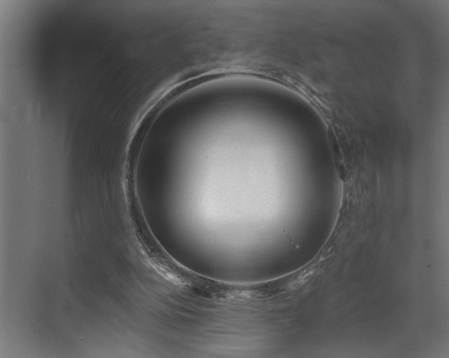 X0000073460152200607281256