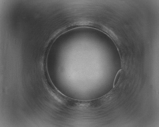 X0000073460155200607281256