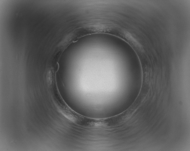 X0000073460165200607281256