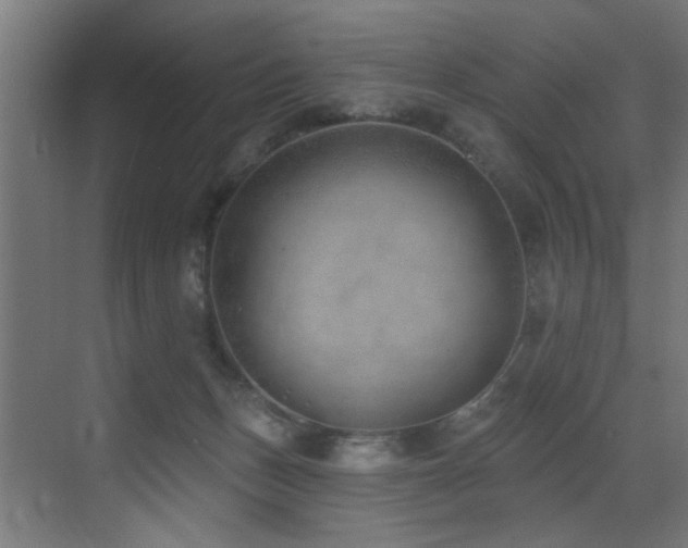 X0000073460175200607281256