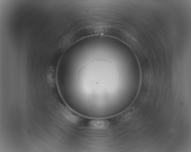 X0000073460181200607281256