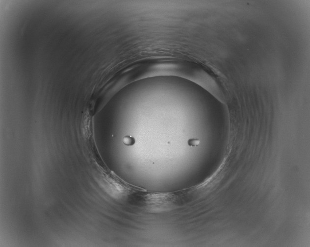 X0000073460192200607281257