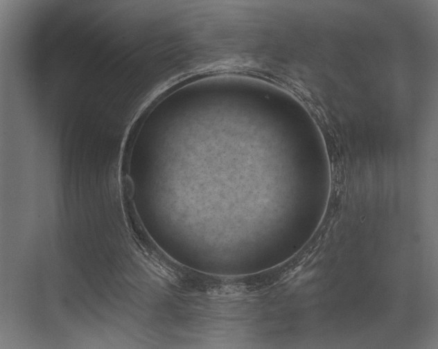 X0000073460196200607281256