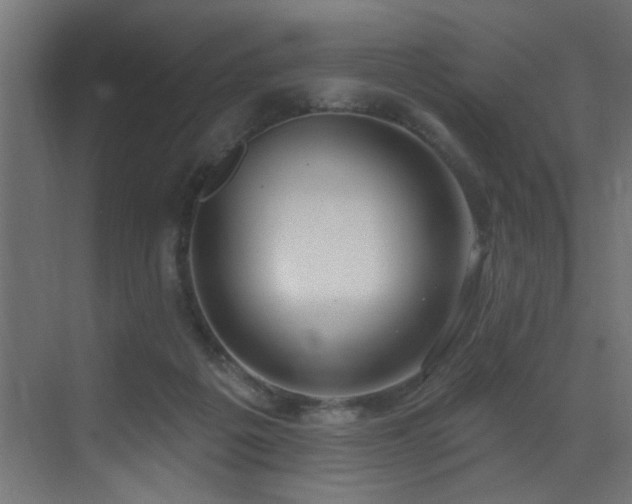 X0000073460217200607281255