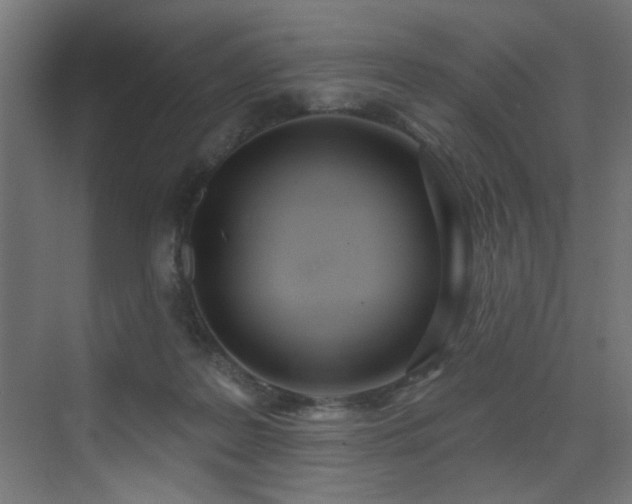 X0000073460219200607281255