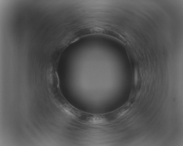 X0000073460223200607281255