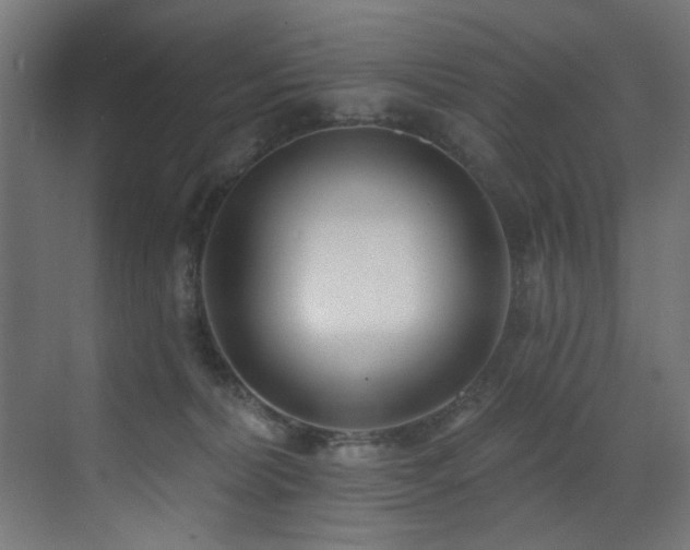X0000073460228200607281255
