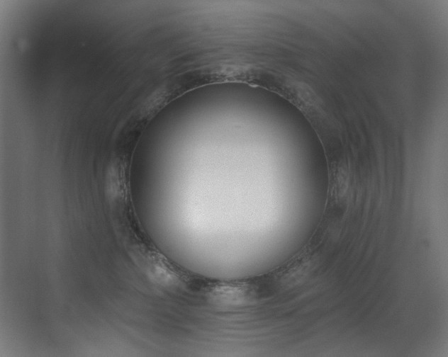 X0000073460236200607281255