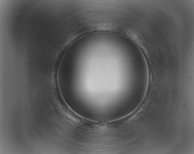 X0000073460249200607281254