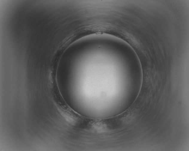 X0000073460258200607281254