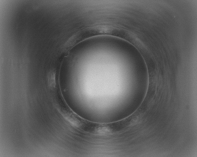 X0000073460262200607281255
