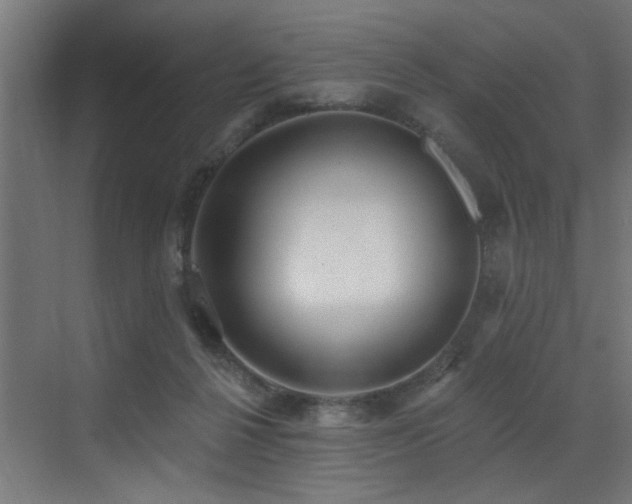X0000073460264200607281255