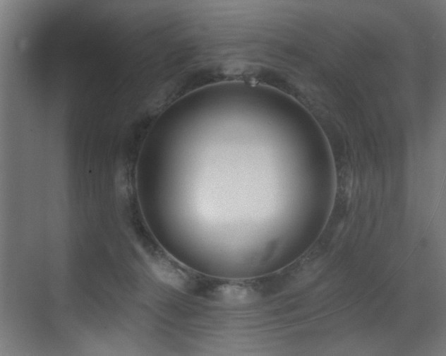 X0000073460272200607281255