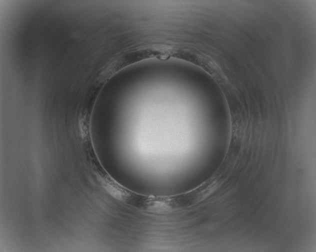 X0000073460285200607281255