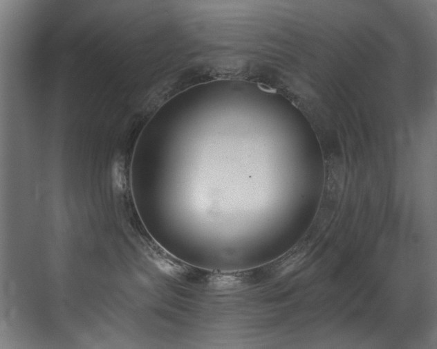 X0000073460287200607281255