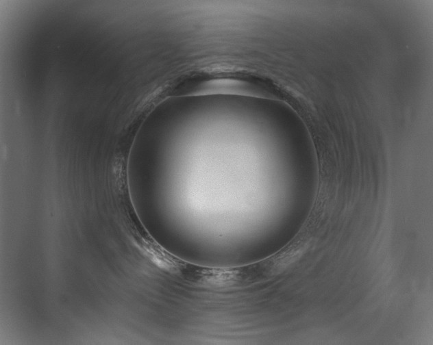 X0000073460288200607281255