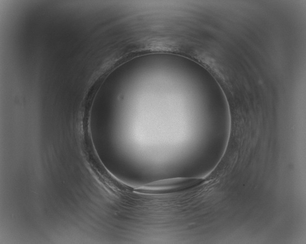 X0000073460299200607281254