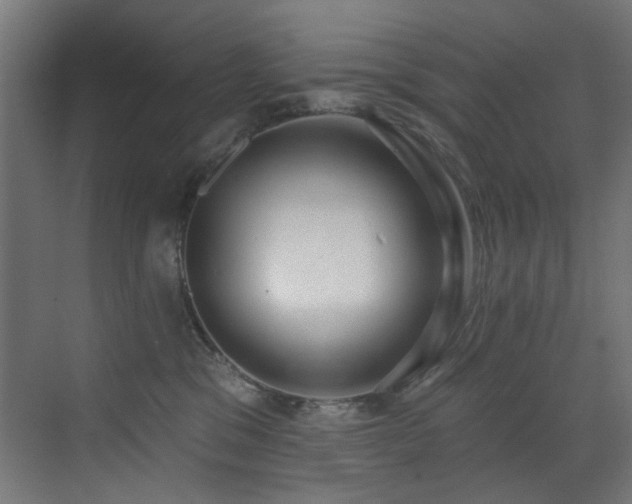 X0000073460329200607281254