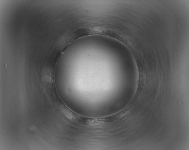 X0000073460331200607281253
