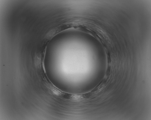 X0000073460333200607281253