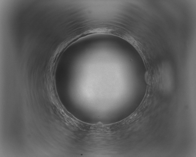 X0000073460337200607281253