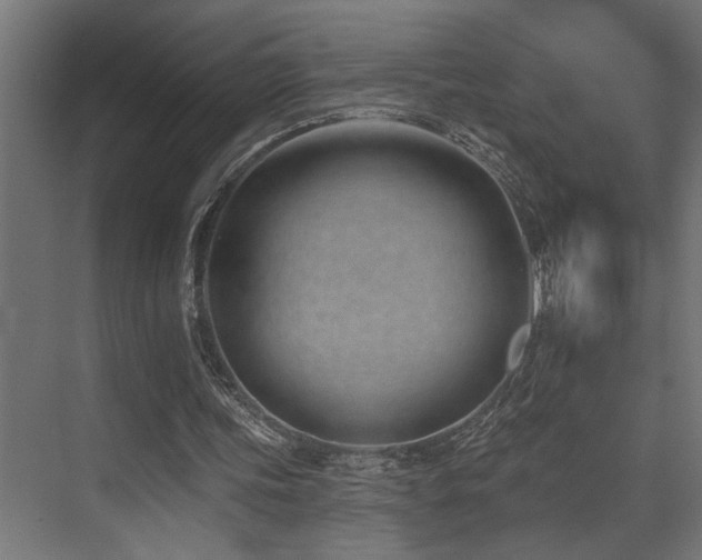 X0000073460339200607281253