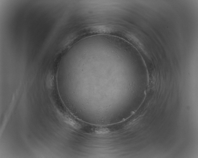 X0000073460355200607281253