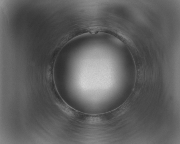 X0000073460361200607281253